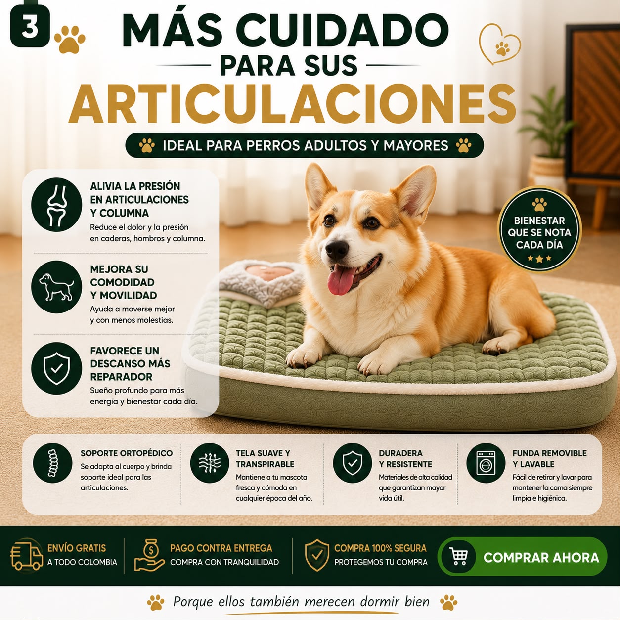 Cama Ortopedica para mascotas