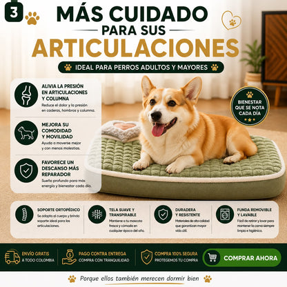 Cama Ortopedica para mascotas